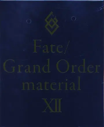 TYPE MOON TYPE MOON Fate/Grand Order material XII 12