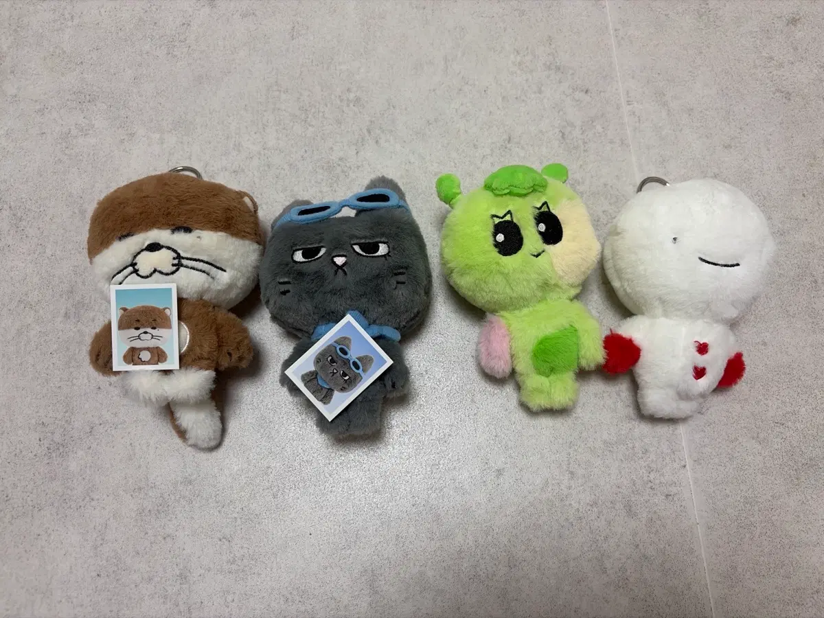 쁘넥도