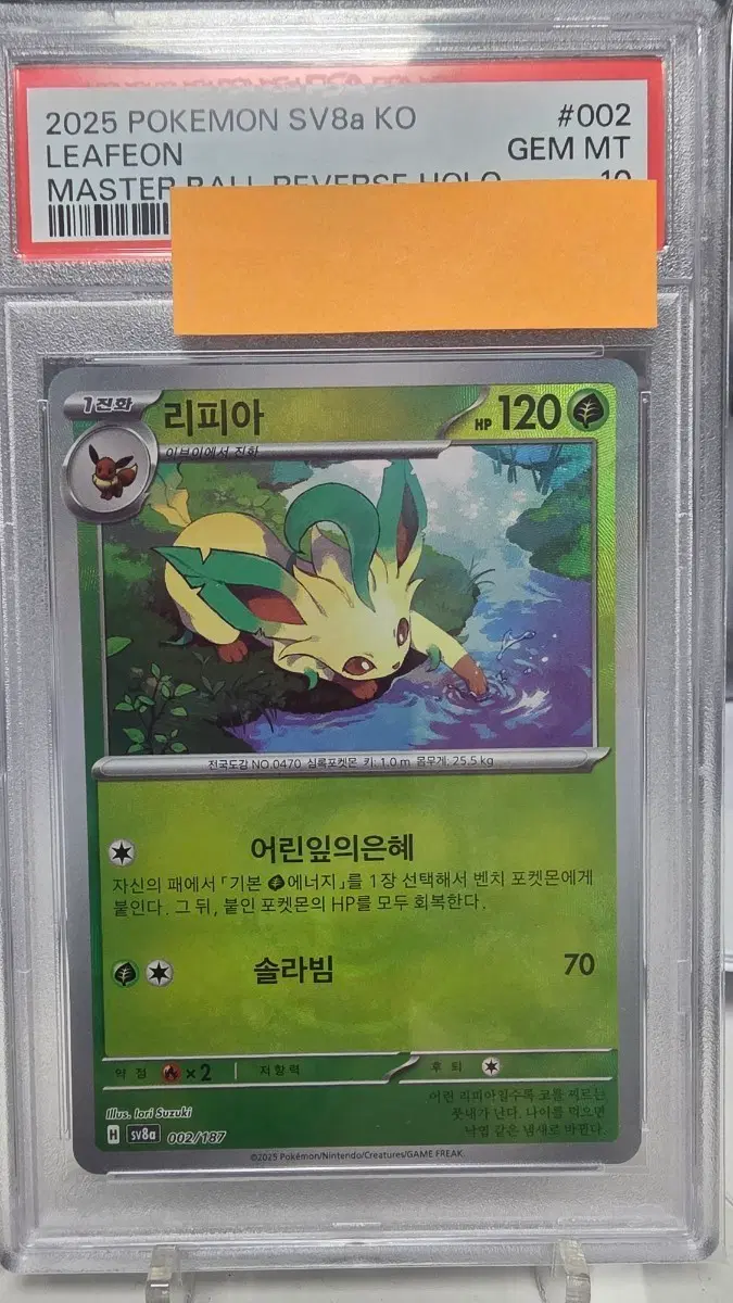 포켓몬카드 리피아 마스터볼 psa10
