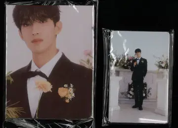 SEVENTEEN 캐럿반 DK FML