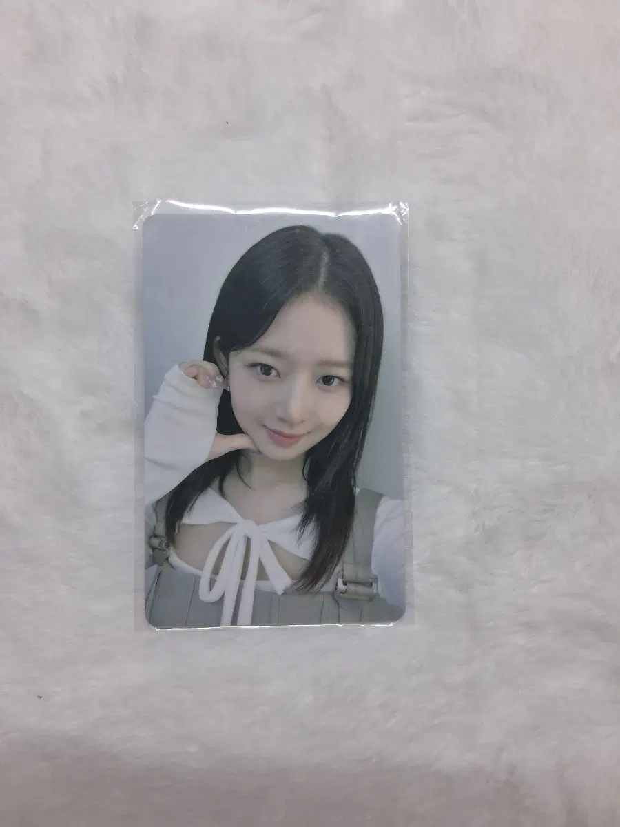 아이브 레이 파파존스 포카