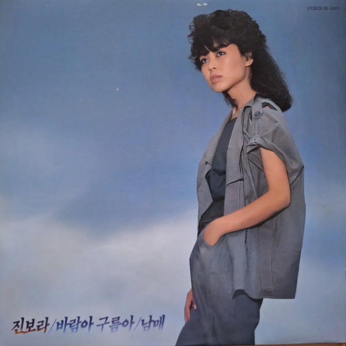 진보라 바람아 구름아/남매 LP