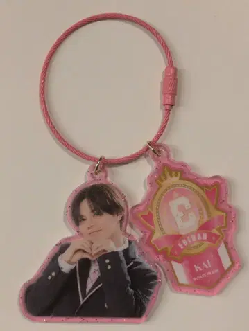 초특급 2026 EBiDAN THE LIVE 15th Anniversary 카이 랜덤 아크릴 키홀더