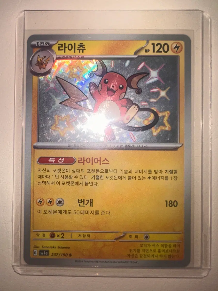 라이츄 이로치