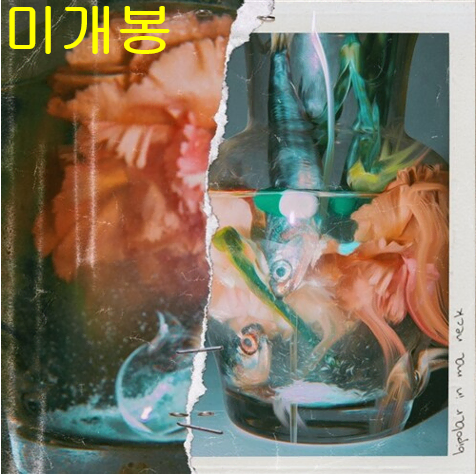 윤병호 (Bully Da BaStard) - Bipolar In Ma Neck (미개봉, CD)