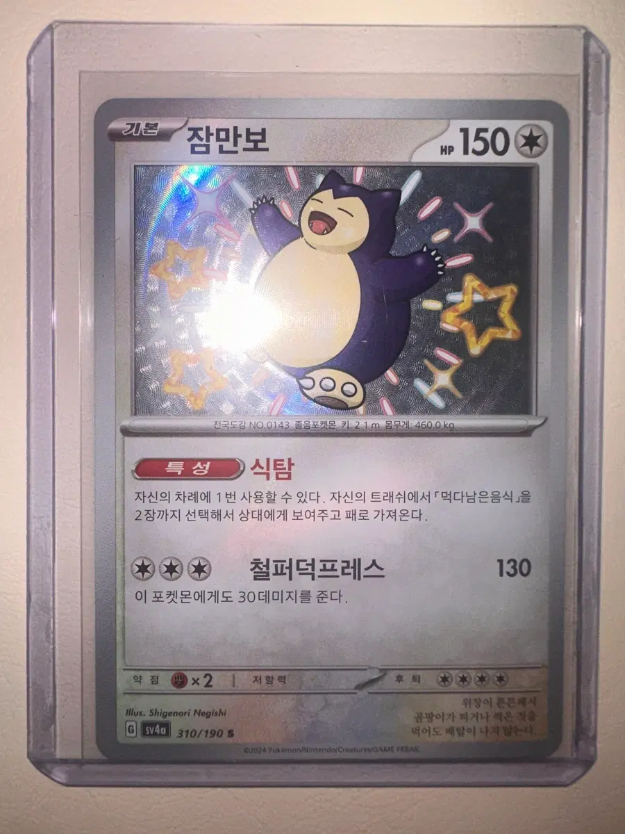 잠만보 이로치