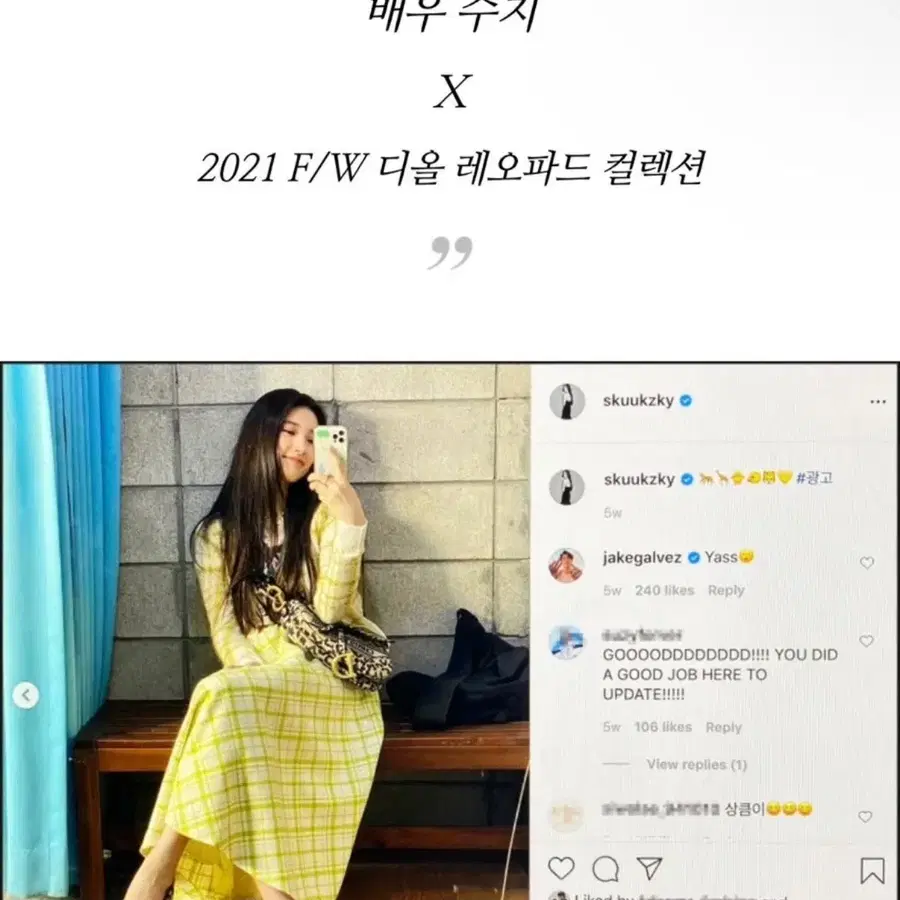 디올 레오파드 미듐새들백