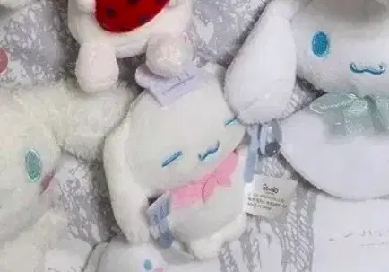 buiimo님 결제용
