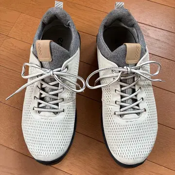 ECCO BIOM 골프화 42 GORE-TEX