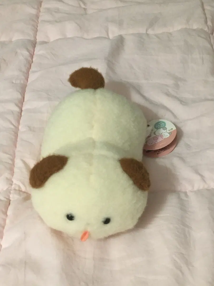 호왕호왕 강아지 인형