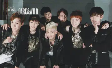 BTS DARK&WILD 집합 트레이딩 카드 가로/업