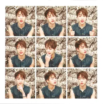 BTS JIN 화양연화 pt.1
