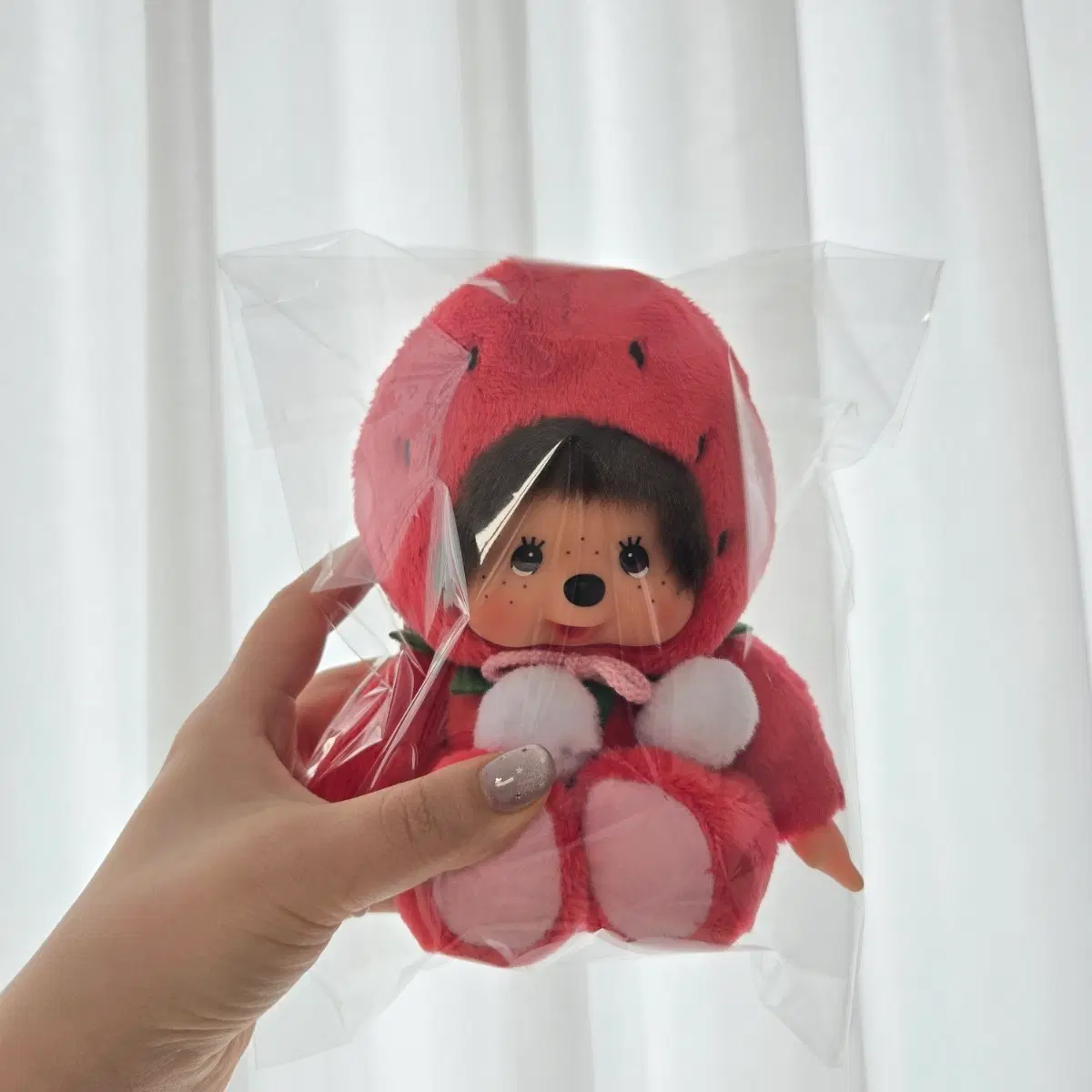 세키구치 정품))딸기 몬치치
