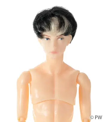 새상품 반려동물 웍스 육분의 일 남자 도감 나인 B2403