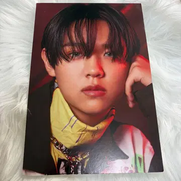 모모타 린넨 타워 레코드 패널 2장 세트