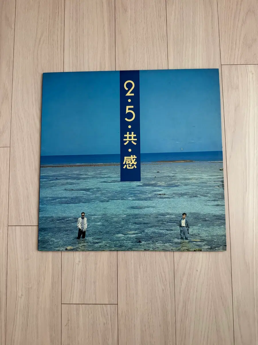 이오 (이승환, 오태호) 2.5 공감 LP 판매합니다