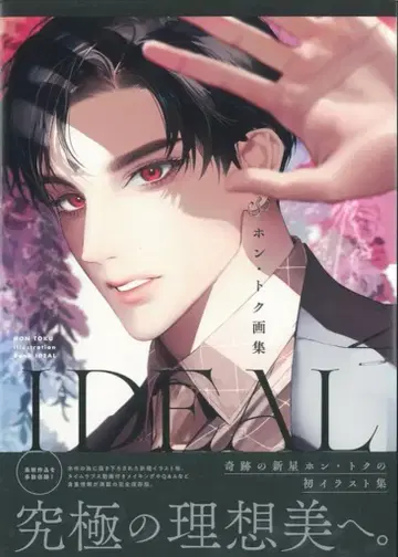 산코샤 혼 토쿠 혼 토쿠 화집 IDEAL (오비 포함)