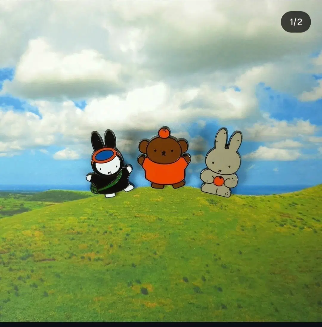 [구해요] 제주 에디션 보리스