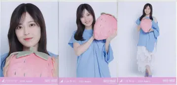 노기자카46 회장 한정판 브로마이드 시바타 유나 2026 August 후쿠오카현 ver. 코디 컴프