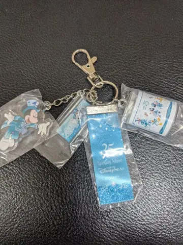 도쿄디즈니씨 25주년 키링