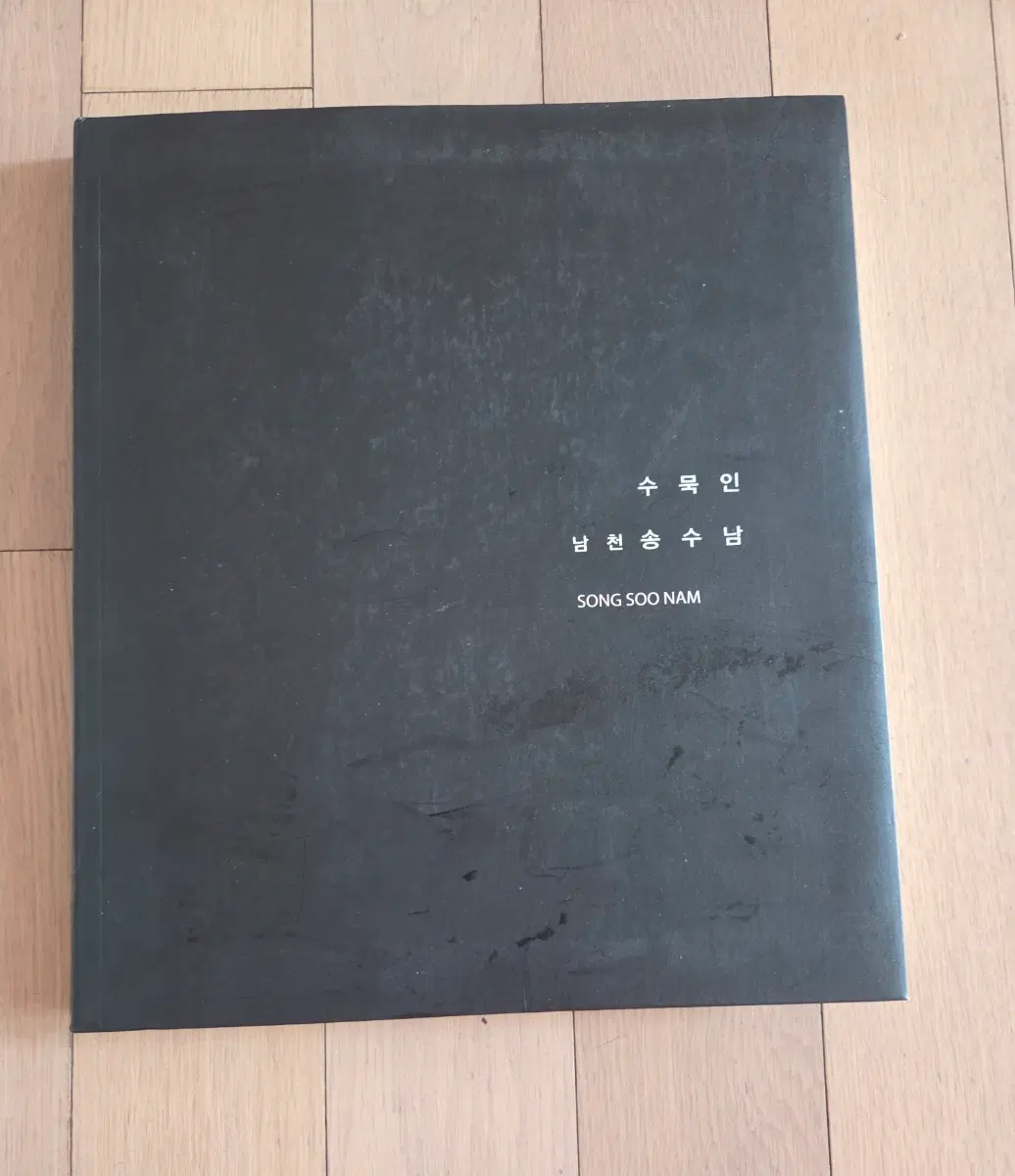 송수남 수묵인