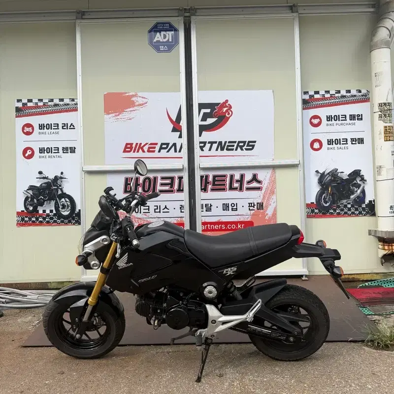 msx125