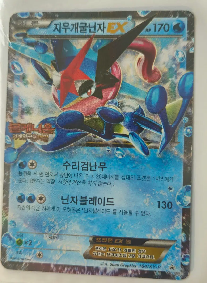 포켓몬 카드