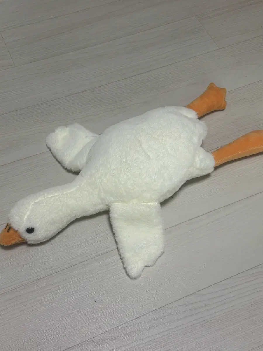 오리 인형 판매