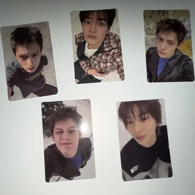 코르티스 포카 cortis 그린그린 주훈 건호 제임스