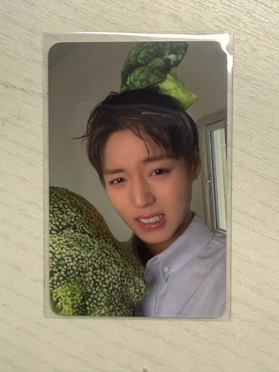 박지훈 포맨트 브로콜리 포카