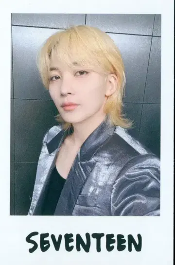 세븐틴 2024 RIGHT HERE JAPAN 정한 INSTANT PHOTO STICKER CARD