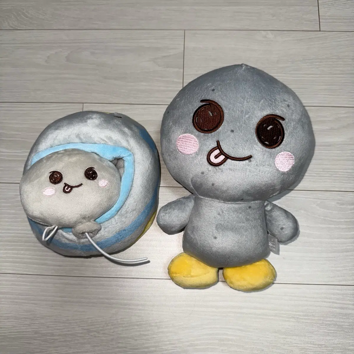 라이즈 은석 굿즈 공굿 비공굿 일괄판매