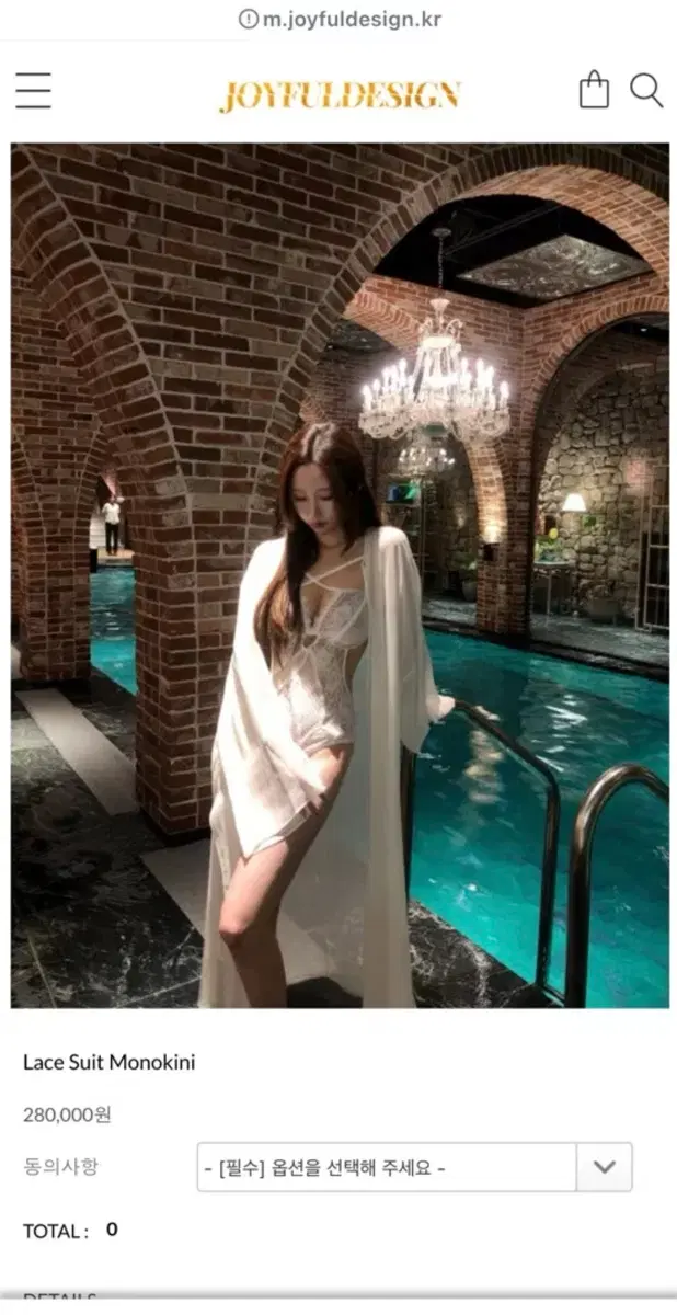 조이풀 모노 키니 비키니