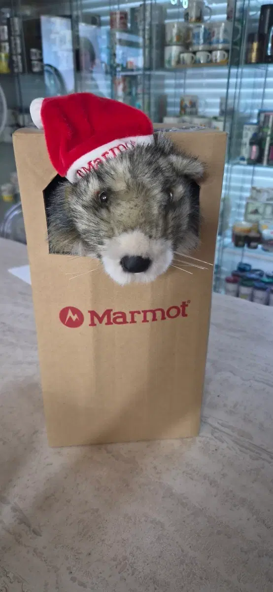 마모트 한정판털 인형 산타 모자 착용