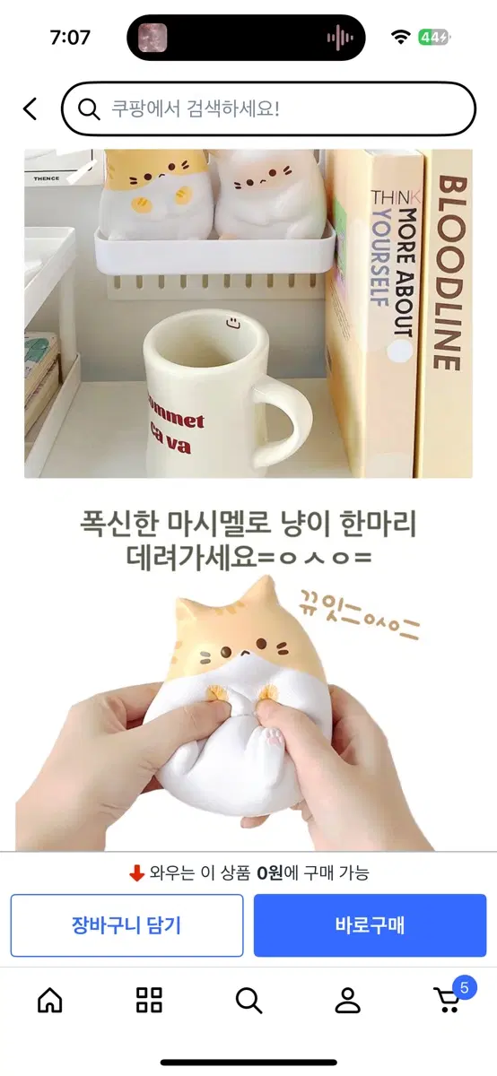 냥냥이 스트레스 해소 스퀴시 새상품