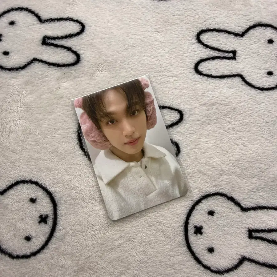 2022 핑크크리스마스 nct 해찬 포카 일괄 양도