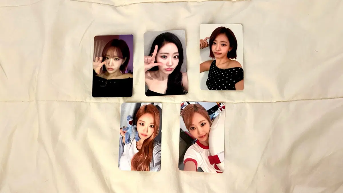 키오프 쥴리 키스로드 키씨존 + 키씨1기 포카 세트