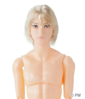 새상품 반려동물 웍스 육분의 일 남자 도감 나인 B2608