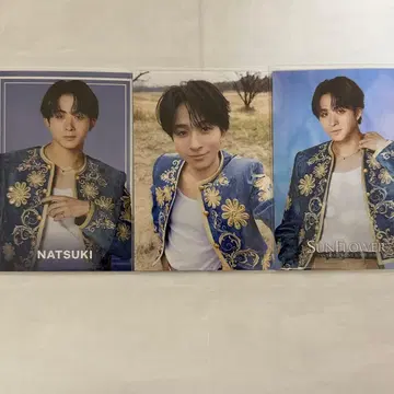 FANTASTICS 사와모토 나츠키 SUNFLOWER 포토 카드 컴프 세트
