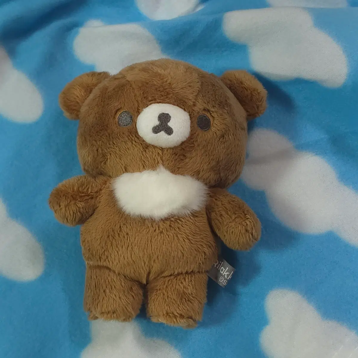 산엑스 차이로이코구마 뉴베이직 인형 15cm