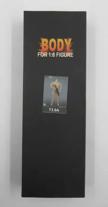 TOYS CITY FOR 1/6 FIGURE TTL BODY MALE 12'