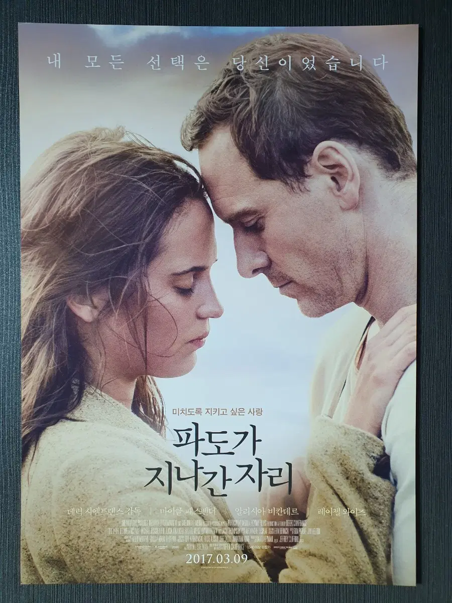 파도가 지나간 자리 영화 전단지 팜플렛 A4 마이클 패스밴더 알리시아 비칸데르