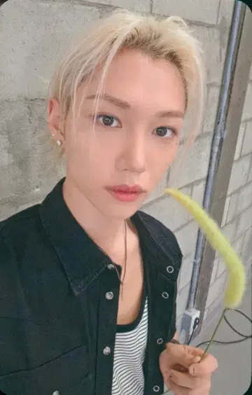 StrayKids SoundWave 회장 한정판 LD FELIX THIS&THAT 1st/A
