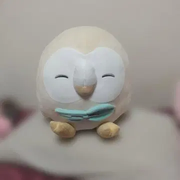 모쿠로 봉제 인형 포켓몬