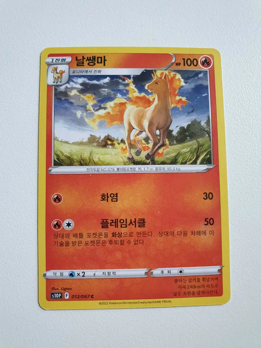 날쌩마 포켓몬카드