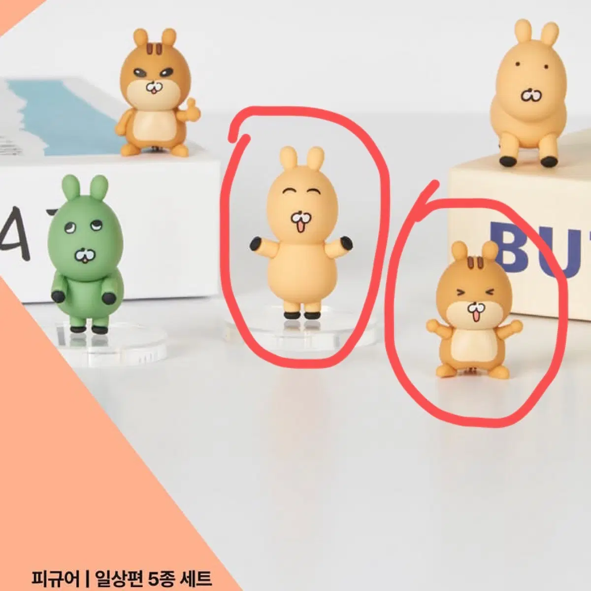 Go라니 가챠 다람쥐 고라니