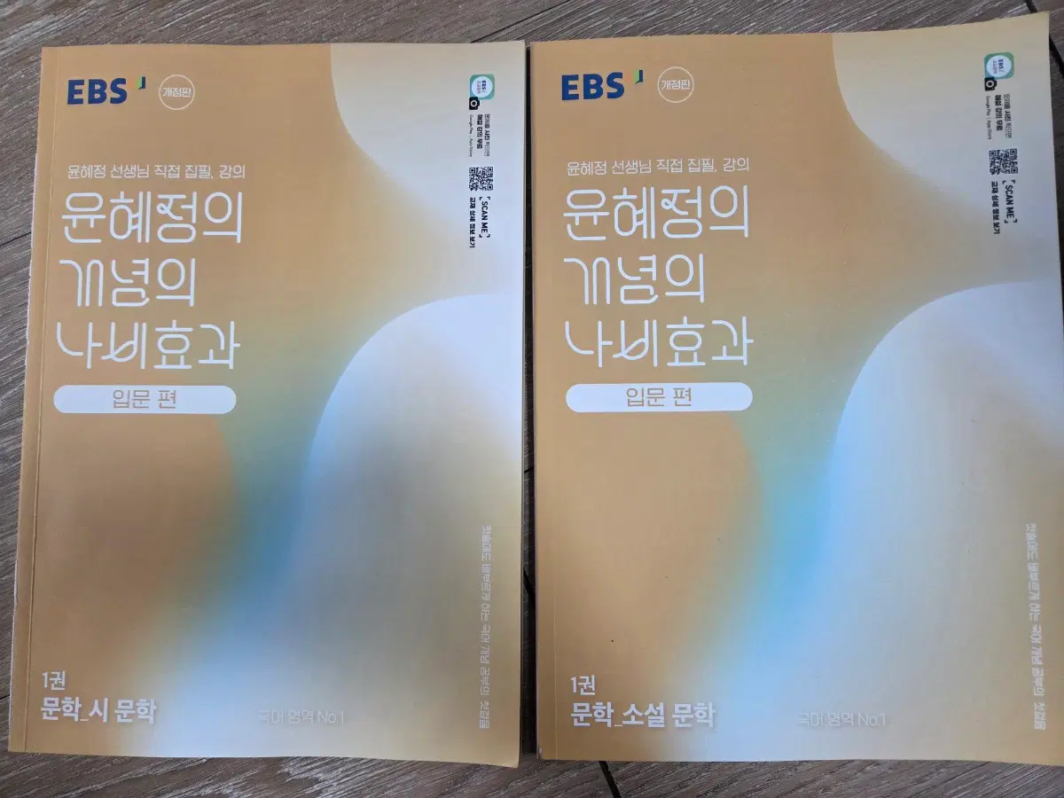 EBS 윤혜정 개념의 나비효과 입문편 문학 개정판