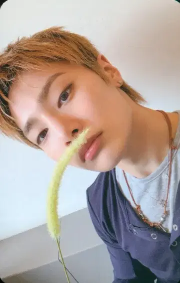 StrayKids SoundWave 회장 한정판 LD I.N THIS&THAT 1st/A