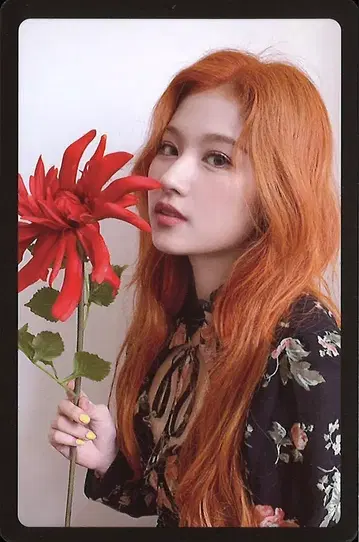 TWICE 예약 특전 SANA MORE & MORE A