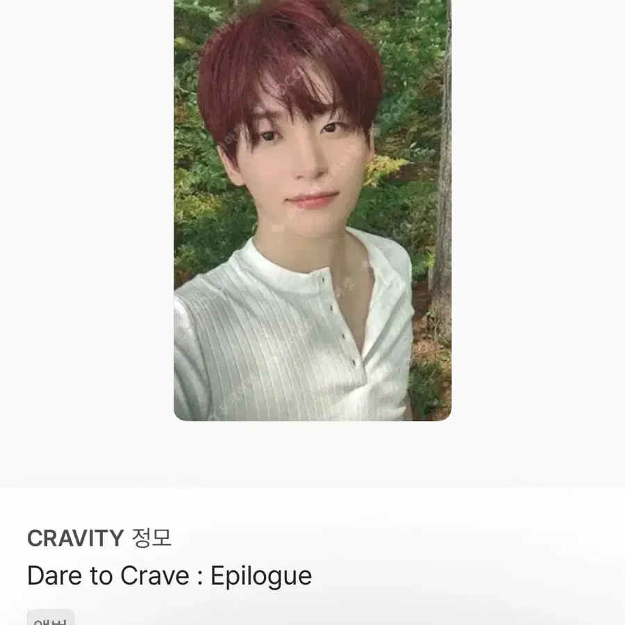 크래비티 정모 앨범 포카